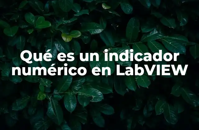 Qué es un Indicador Numérico en Labview