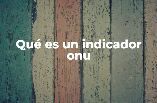 Qué es un Indicador Onu