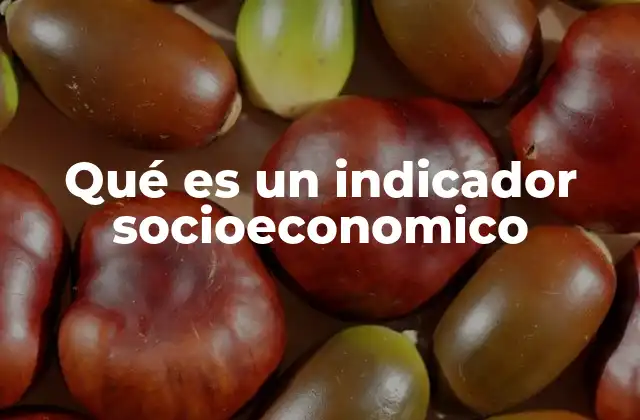 Qué es un Indicador Socioeconomico