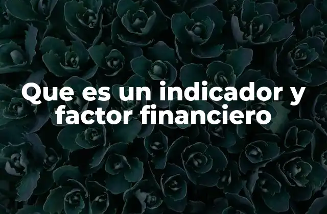 Que es un Indicador y Factor Financiero