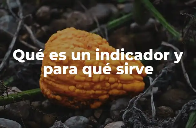 Qué es un Indicador y para Qué Sirve