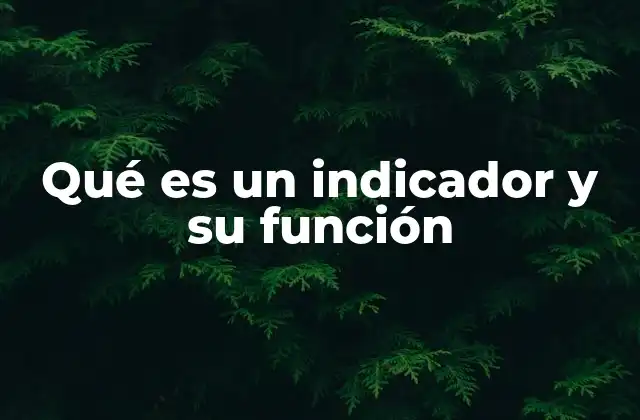 Qué es un Indicador y Su Función