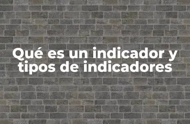 Qué es un Indicador y Tipos de Indicadores