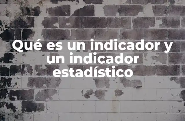 Qué es un Indicador y un Indicador Estadístico