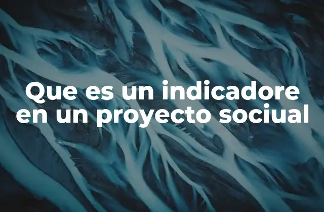 Que es un Indicadore en un Proyecto Sociual