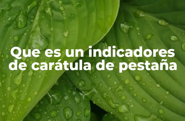 Que es un Indicadores de Carátula de Pestaña