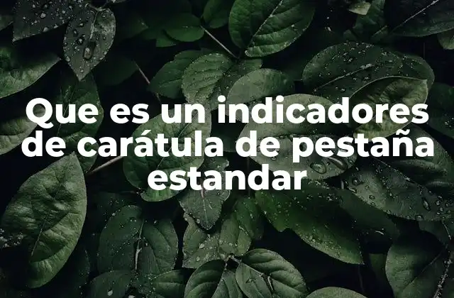 Que es un Indicadores de Carátula de Pestaña Estandar