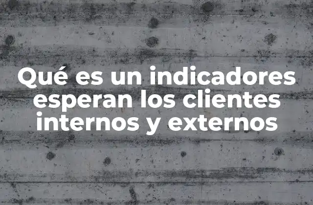 Qué es un Indicadores Esperan los Clientes Internos y Externos