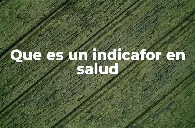 Que es un Indicafor en Salud
