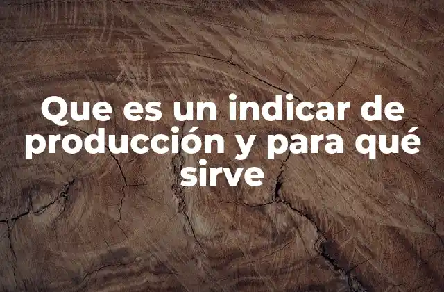 Que es un Indicar de Producción y para Qué Sirve