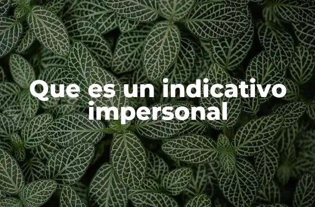 Que es un Indicativo Impersonal
