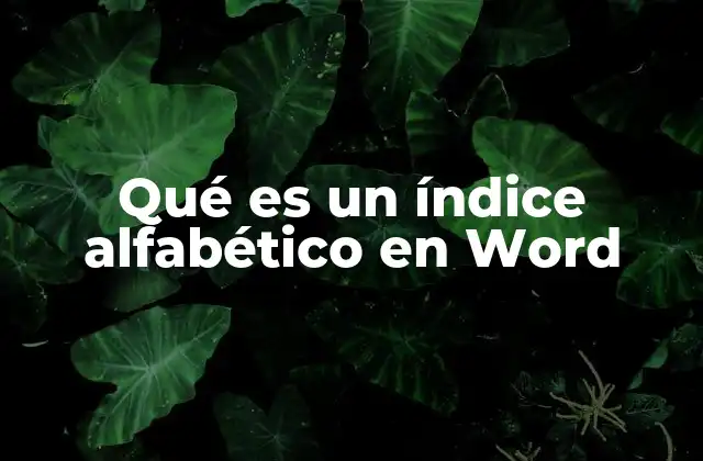 Qué es un Índice Alfabético en Word