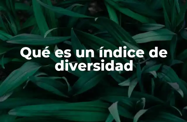 Qué es un Índice de Diversidad