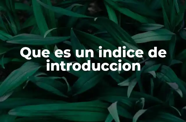 Que es un Indice de Introduccion