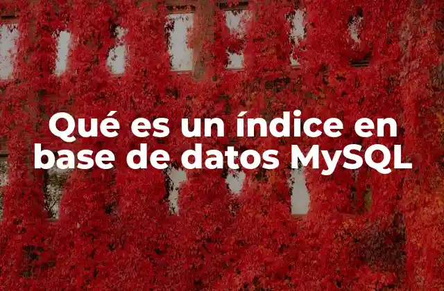 Qué es un Índice en Base de Datos Mysql