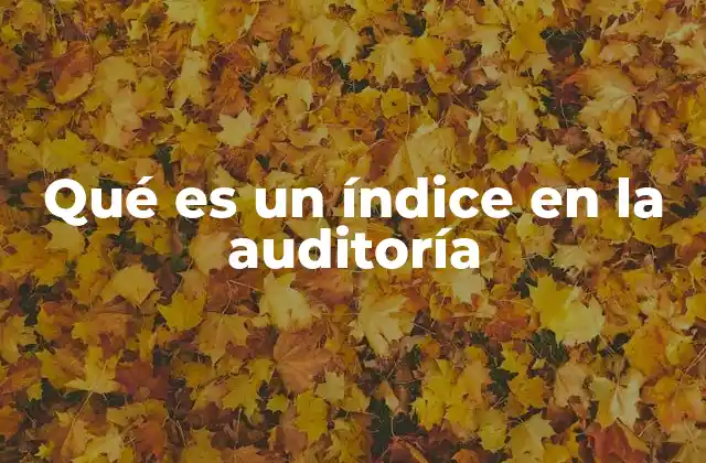 Qué es un Índice en la Auditoría