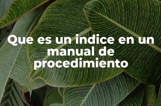Que es un Indice en un Manual de Procedimiento
