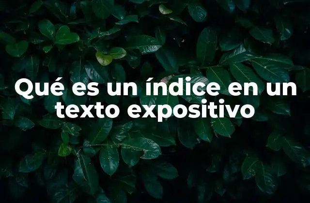 Qué es un Índice en un Texto Expositivo