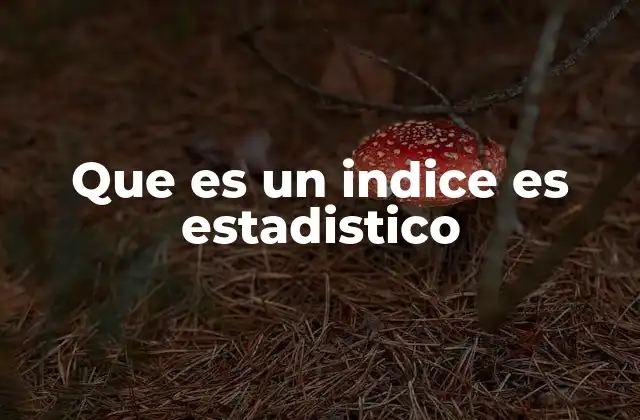 Que es un Indice es Estadistico