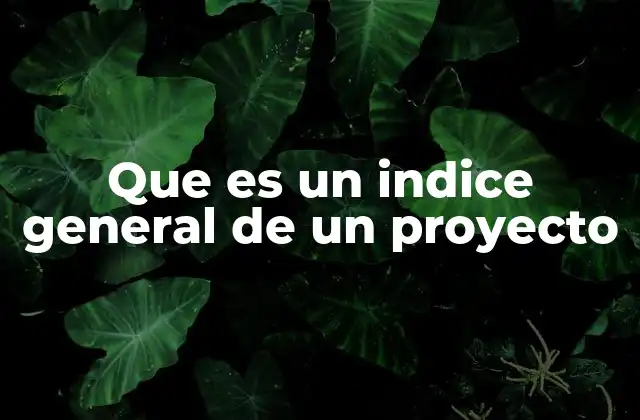 Que es un Indice General de un Proyecto