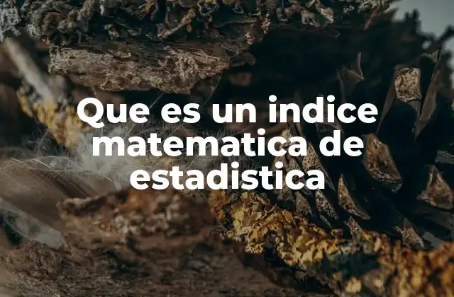Que es un Indice Matematica de Estadistica