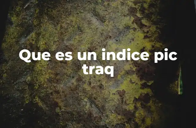 Que es un Indice Pic Traq