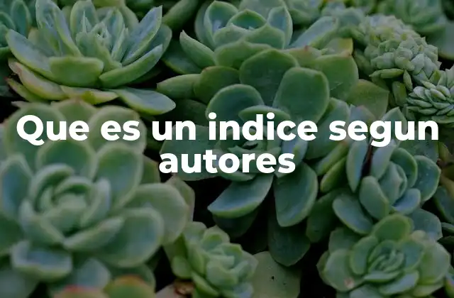 Que es un Indice Segun Autores 2 El índice como guía en la organización de información