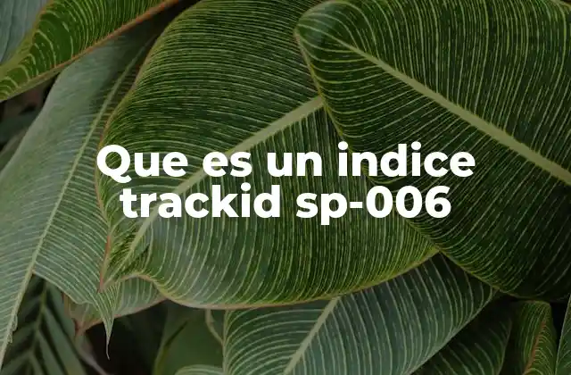 Que es un Indice Trackid Sp-006 2 El papel del trackid en el marketing digital