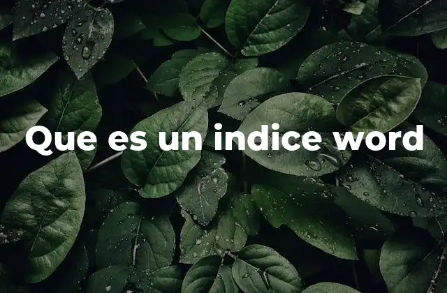 Que es un Indice Word