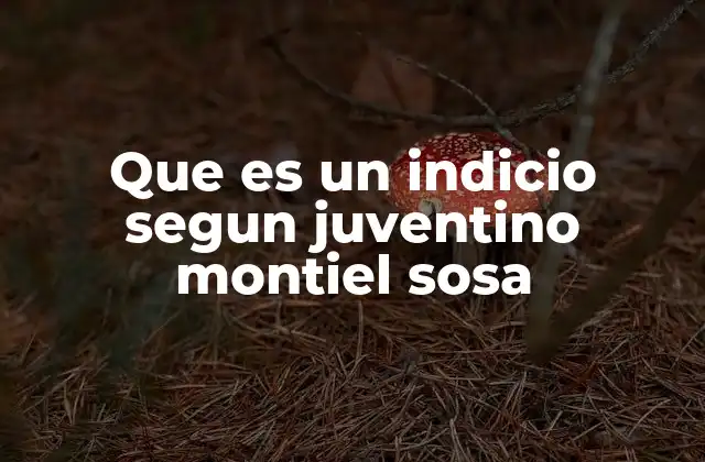 Que es un Indicio Segun Juventino Montiel Sosa