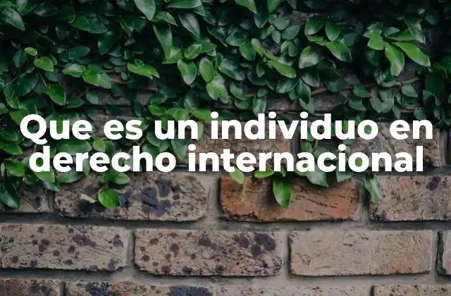 Que es un Individuo en Derecho Internacional