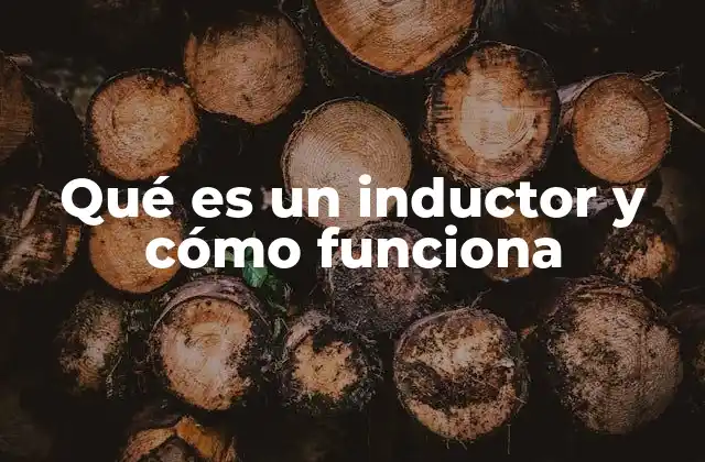 Qué es un Inductor y Cómo Funciona 2 El papel del inductor en los circuitos eléctricos