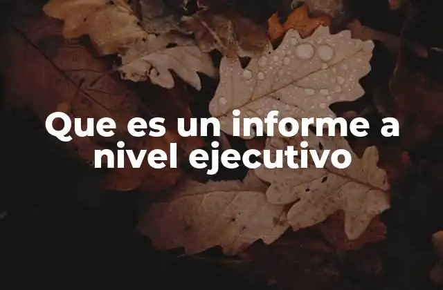 Que es un Informe a Nivel Ejecutivo 2 La importancia de la comunicación clara en el entorno empresarial
