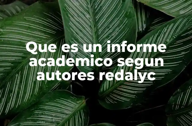 Que es un Informe Academico Segun Autores Redalyc