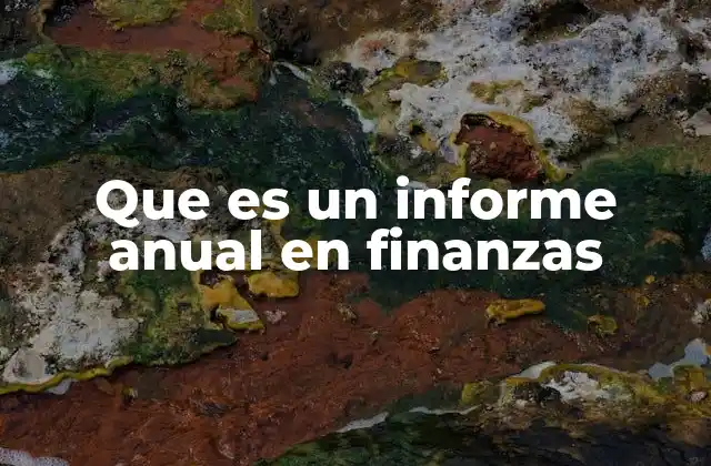 Que es un Informe Anual en Finanzas