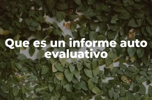 Que es un Informe Auto Evaluativo