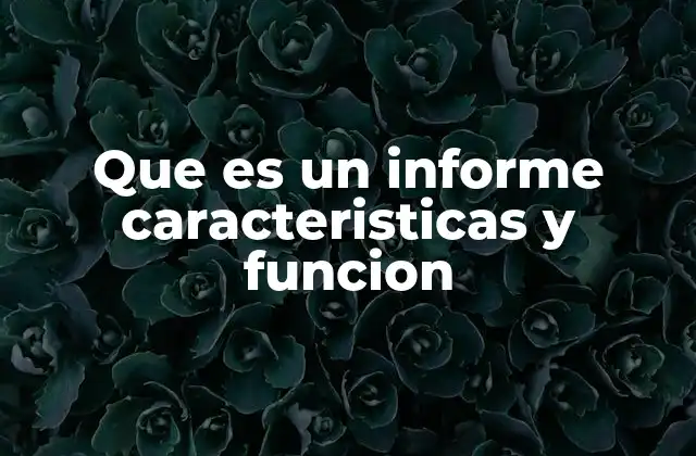 Que es un Informe Caracteristicas y Funcion