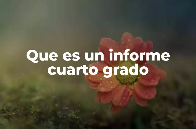 Que es un Informe Cuarto Grado