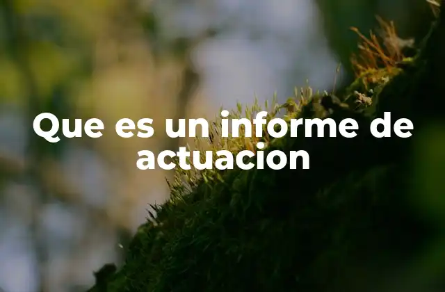 Que es un Informe de Actuacion 2 La importancia de evaluar el desempeño mediante un documento estructurado