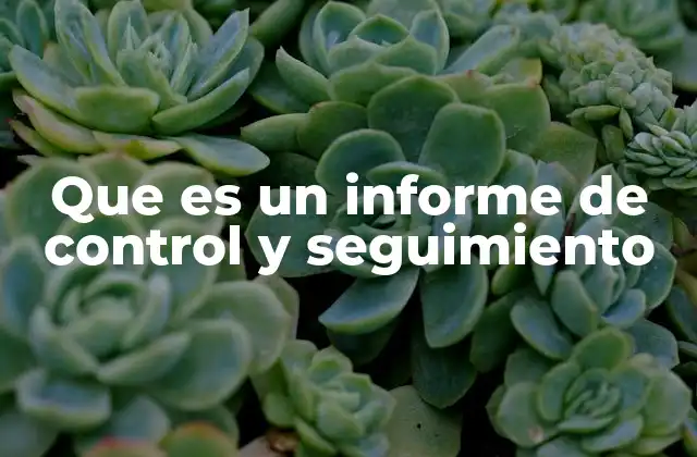 Que es un Informe de Control y Seguimiento