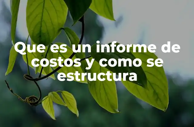 Que es un Informe de Costos y como Se Estructura