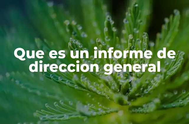 Que es un Informe de Direccion General