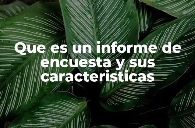 Que es un Informe de Encuesta y Sus Caracteristicas
