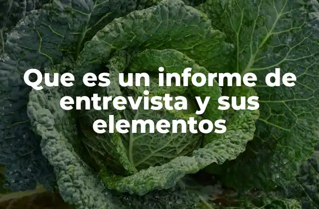 Que es un Informe de Entrevista y Sus Elementos