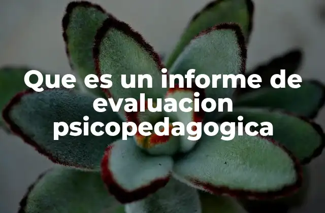 La importancia de la evaluación psicopedagógica en la educación actual