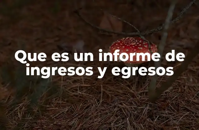 Que es un Informe de Ingresos y Egresos