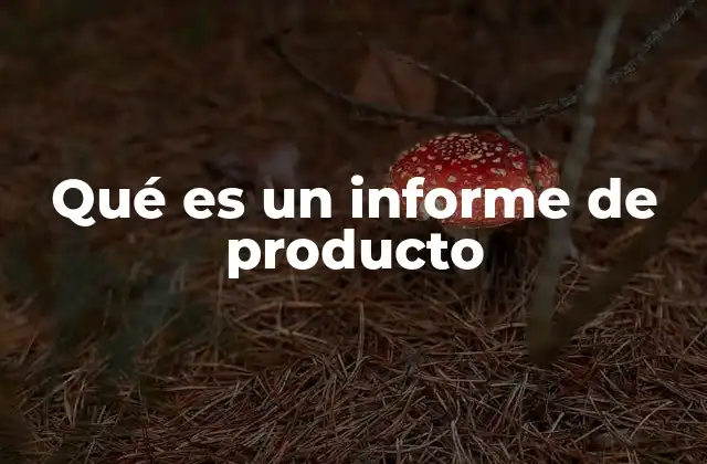 Qué es un Informe de Producto 2 La importancia del análisis del producto en el desarrollo empresarial