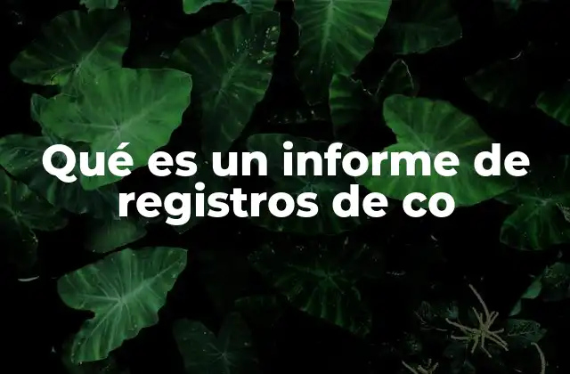 Qué es un Informe de Registros de Co
