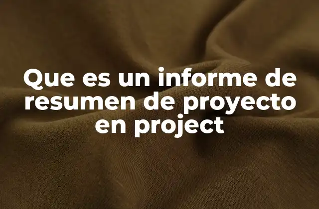 Que es un Informe de Resumen de Proyecto en Project