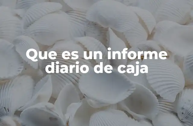 Que es un Informe Diario de Caja